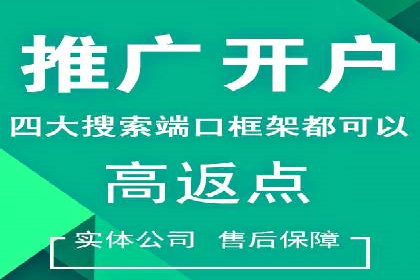 竞价推广SEM托管的成功之路——某行业领军企业的实践