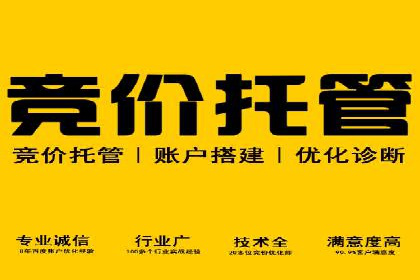 SEM代运营经典案例：提升品牌影响力